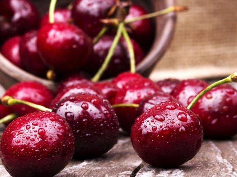 Вишня купить саженцы из питомника в Сосновом Бору